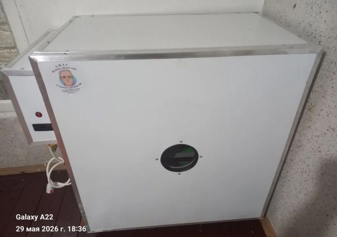 İnkubator — Biznes və avadanlıq, Bakı