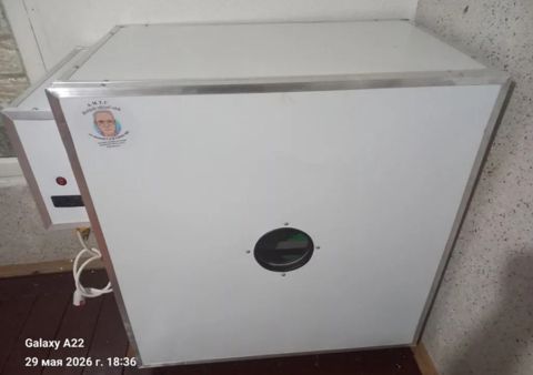 İnkubator — Bakı