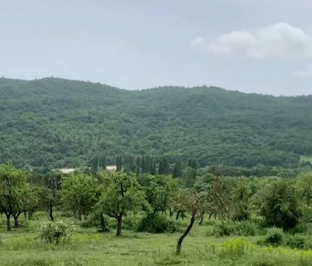140 sot torpaq sahəsi, Quba r — Torpaq, Quba (2)