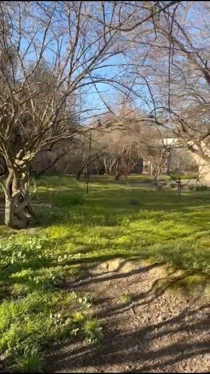 Satılır torpaq 30 sot — Torpaq, Bakı (8)