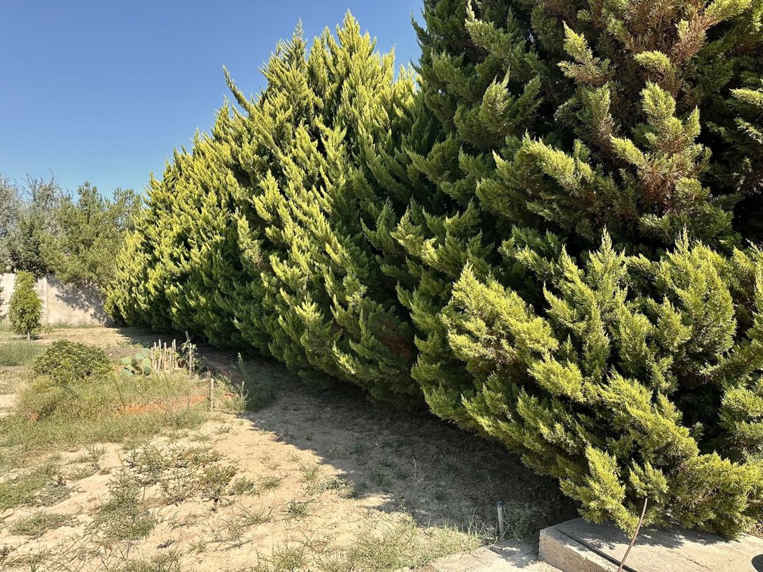 Satılır 8 otaqlı həyət evi/bağ evi 650 m² — Ev, villa, Bakı (10)