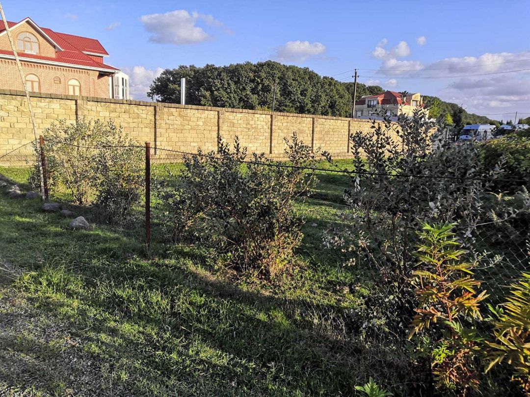 Satılır torpaq 6 sot — Torpaq, Lənkəran (9)
