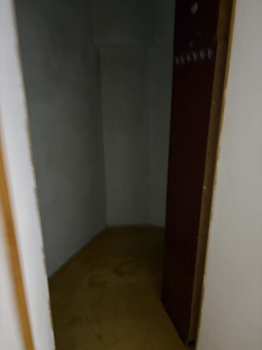 İcarəyə verilir 2 otaqlı həyət evi/bağ evi 48 m² — Ev, villa, Bakı (2)