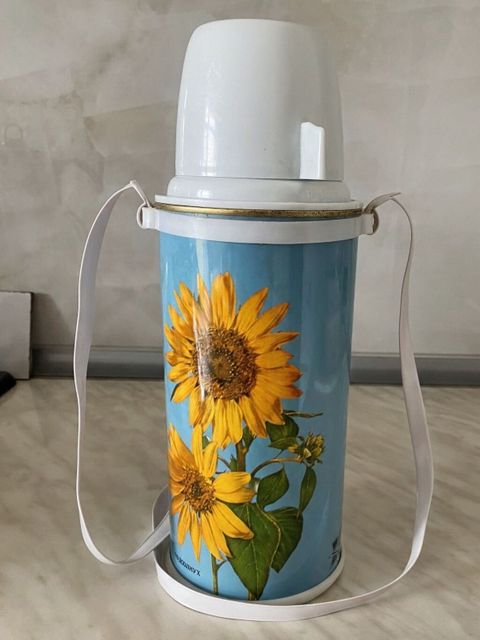 Rəng - Mavi, Termos, Şüşə, 1 l, Ssri — 15 ₼ · Digah · Termos və termoş Rəng - Mavi, Termos, Şüşə, 1 l, Ssri — Digah
