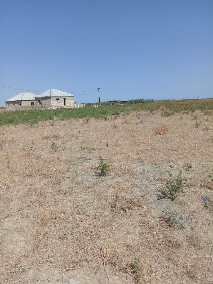 41 sot torpaq sahəsi, Şabran r — Torpaq, Şabran (9)