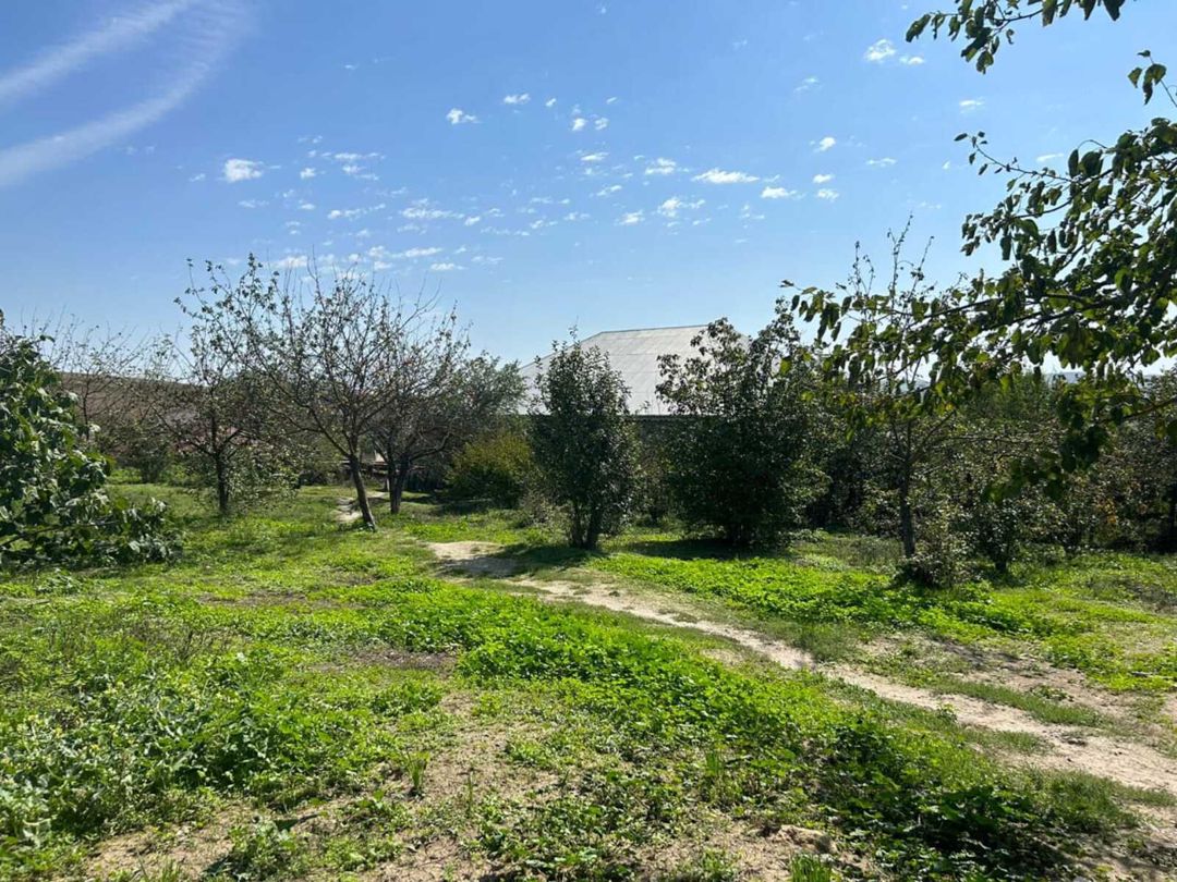 Satılır torpaq 3.8 sot — Torpaq, Bakı (3)