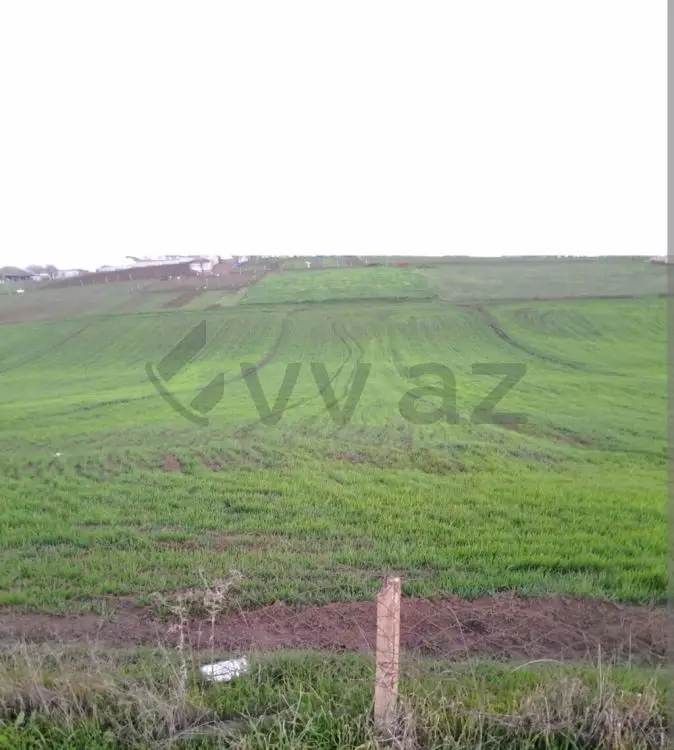 6.8 sot Torpaq Satılır, Cəlilabad — 14 000 ₼ · Cəlilabad · Torpaq 6.8 sot Torpaq Satılır, Cəlilabad — Cəlilabad