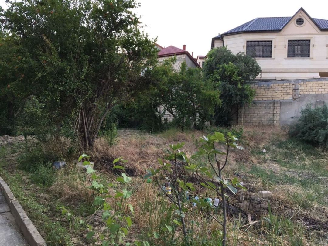 Satılır torpaq 5 sot — Torpaq, Bakı (4)