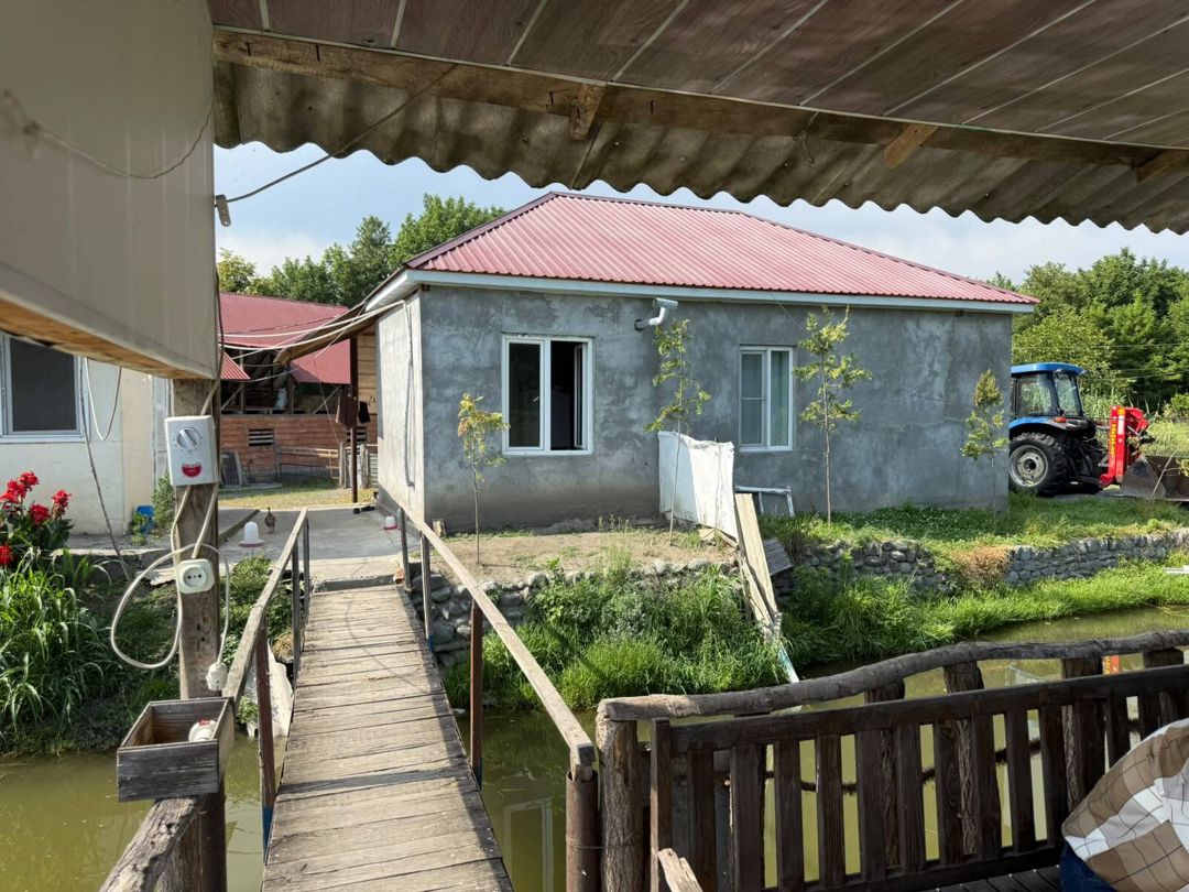 Satılır torpaq 500 sot — Torpaq, Zaqatala (6)