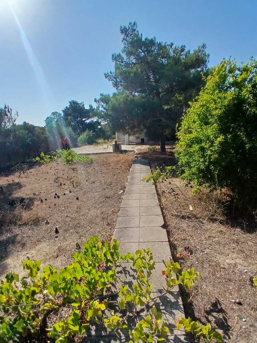 İcarəyə verilir 2 otaqlı həyət evi/bağ evi 2000 m² — Ev, villa, Bakı (7)