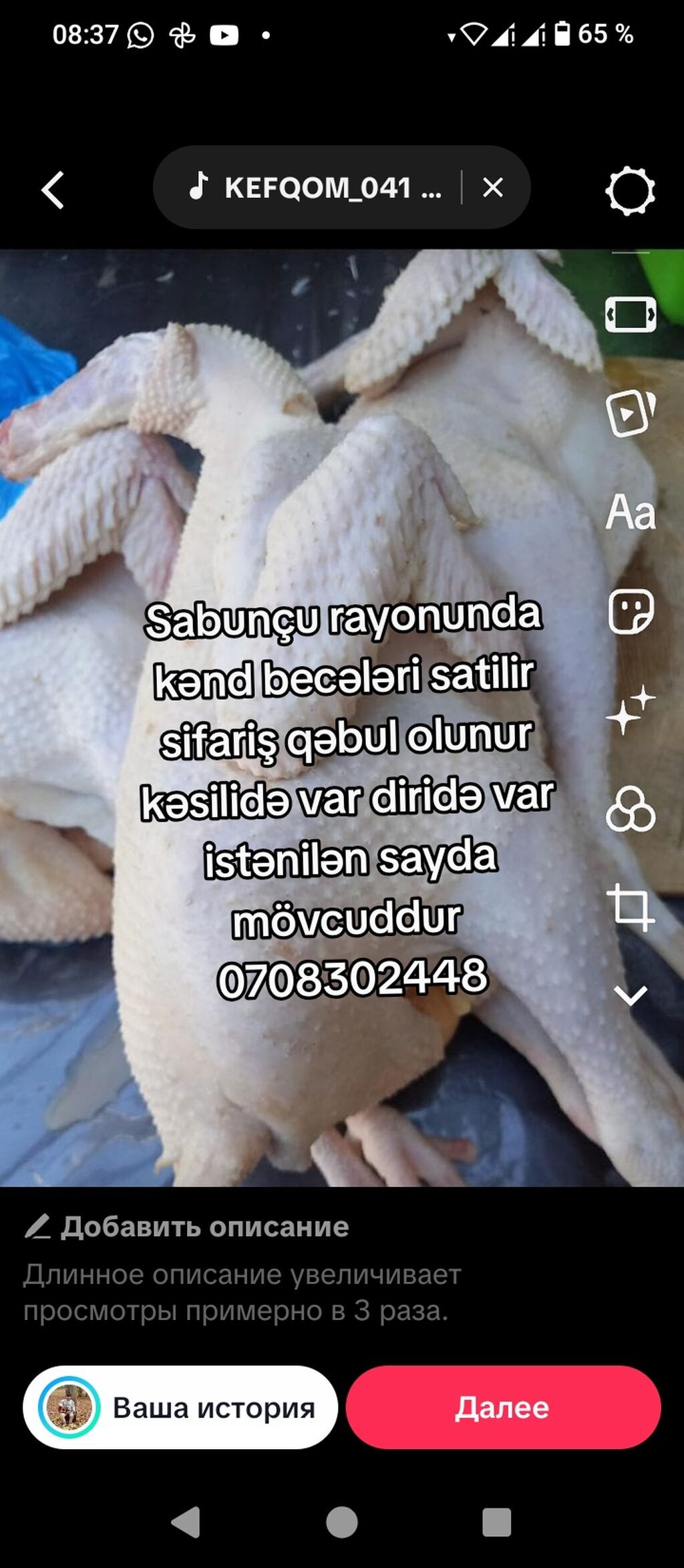 Kənd toyuğu Toyuq Bütöv, Pərakəndə — Qida məhsulları, Gəncə (5)