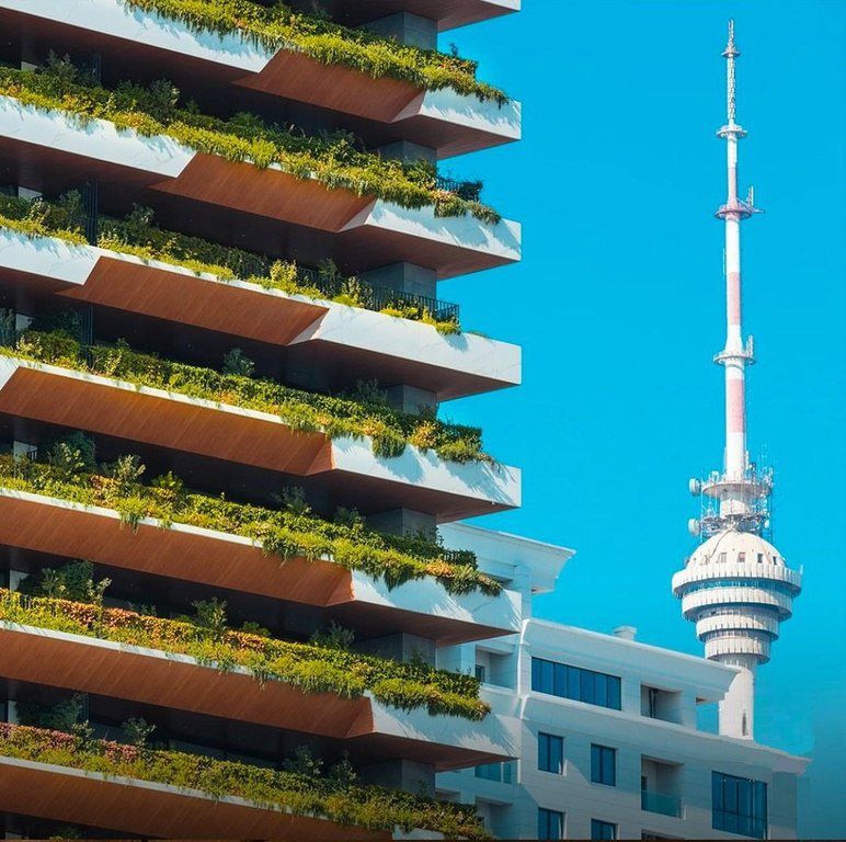 Satılır 4 otaqlı yeni tikili 249 m² — Mənzil, Bakı (2)