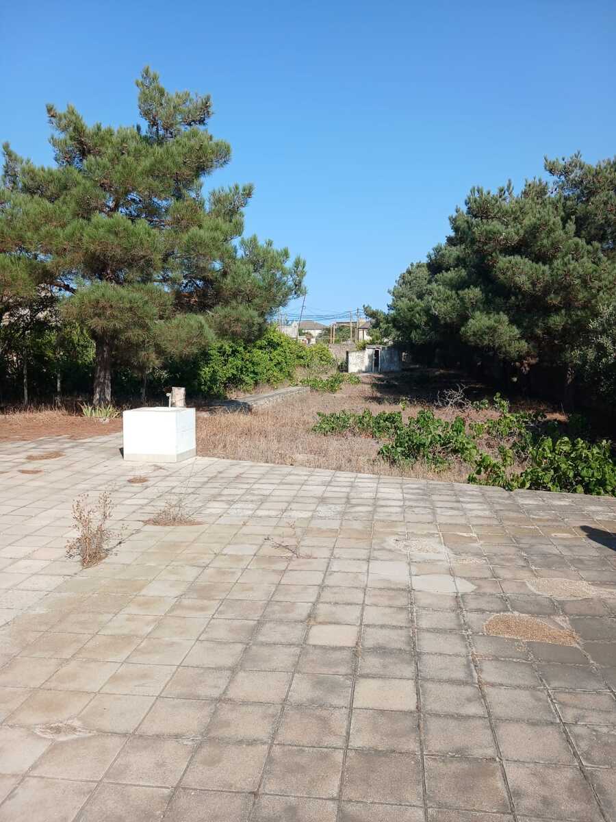 İcarəyə verilir 2 otaqlı həyət evi/bağ evi 2000 m² — Ev, villa, Bakı (2)