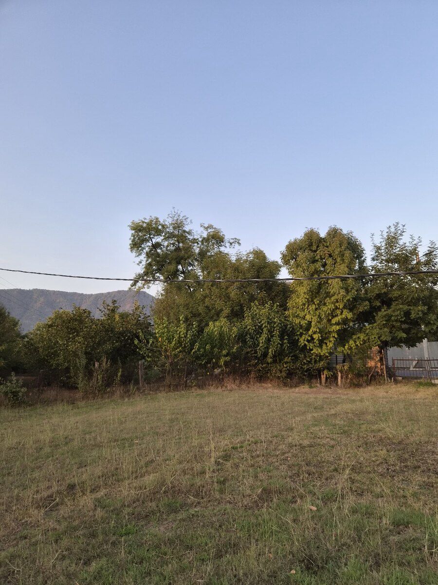 6 sot torpaq sahəsi, Qəbələ ş — Torpaq, Qəbələ (3)