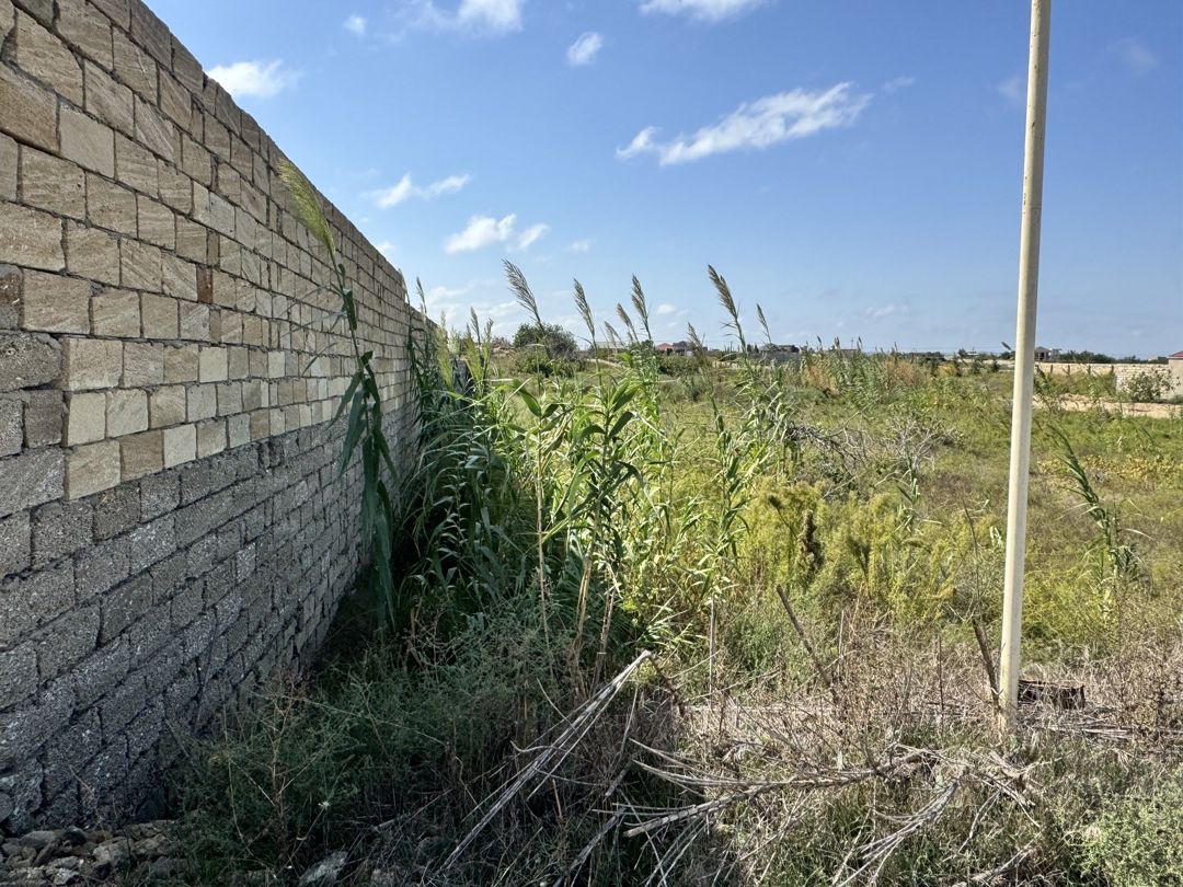 12 sot torpaq sahəsi, Ləhic bağları — Torpaq, Bakı (2)