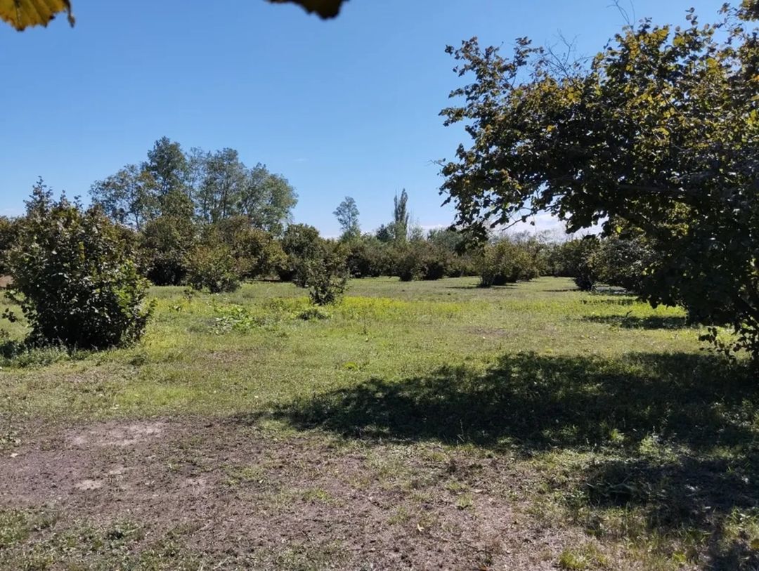 Satılır torpaq 70 sot — Torpaq, Qəbələ (6)