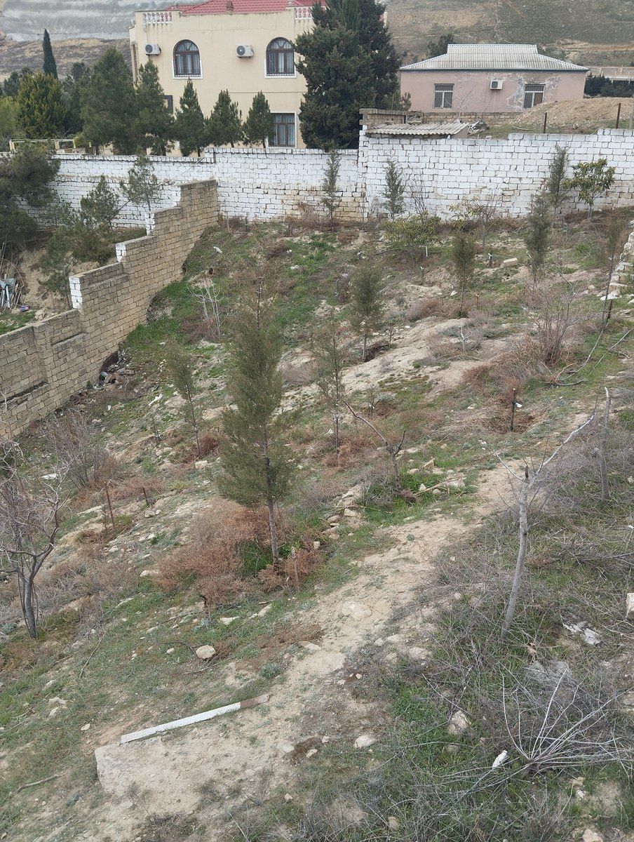 27 sot torpaq sahəsi, Badamdar qəs — Torpaq, Bakı (3)