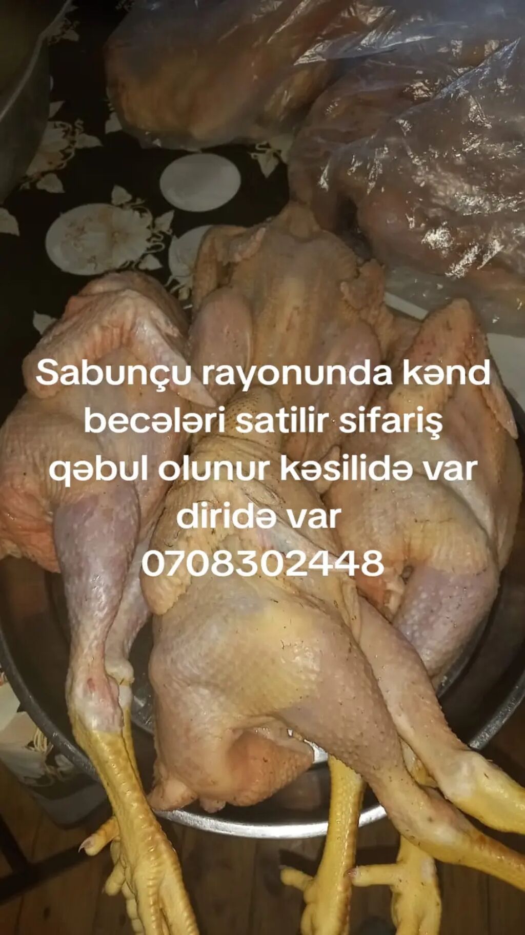 Kənd toyuğu Toyuq Bütöv, Pərakəndə — Qida məhsulları, Gəncə (3)