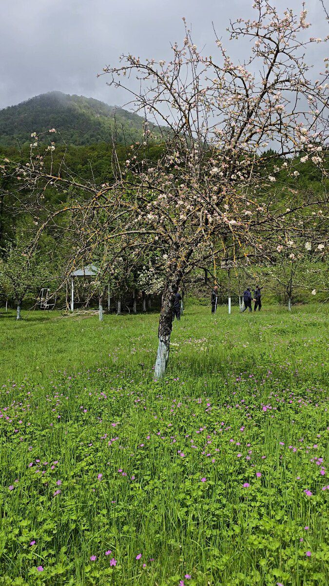 5 sot torpaq sahəsi, Qəbələ r — Torpaq, Qəbələ (3)