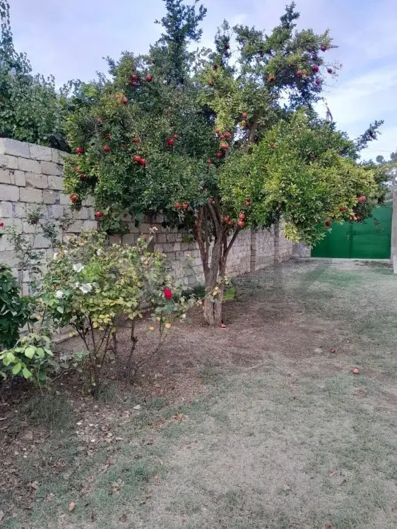 4 otaqlı Həyət evi Satılır, Şirvan — Ev, villa, Şirvan (7)