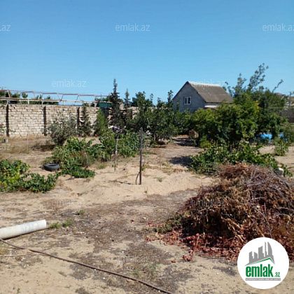 Satılır 14 sot torpaq Qala — Torpaq (5)