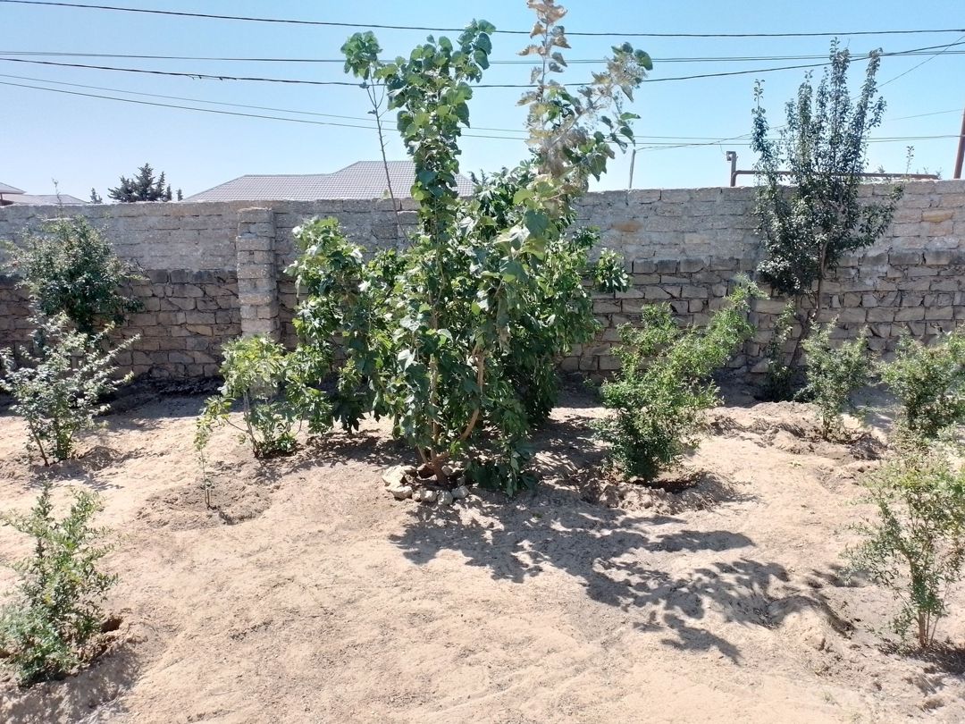Satılır 4 otaqlı həyət evi/bağ evi 80 m² — Ev, villa, Bakı (7)