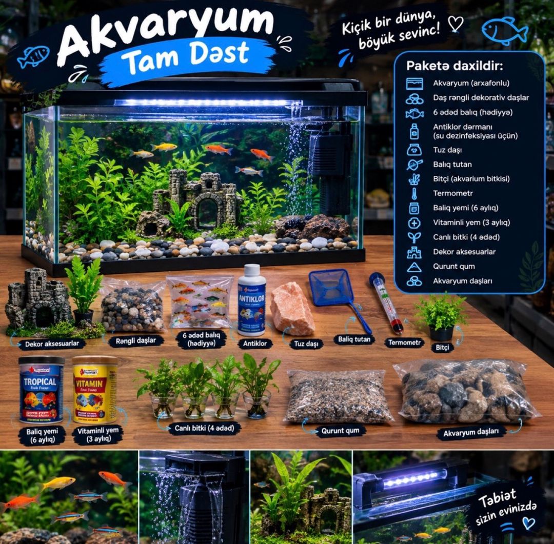 Akvarium — Akvariumlar və balıqlar, Bakı