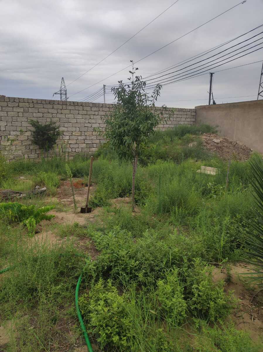 Satılır torpaq 15 sot — Torpaq, Bakı (3)