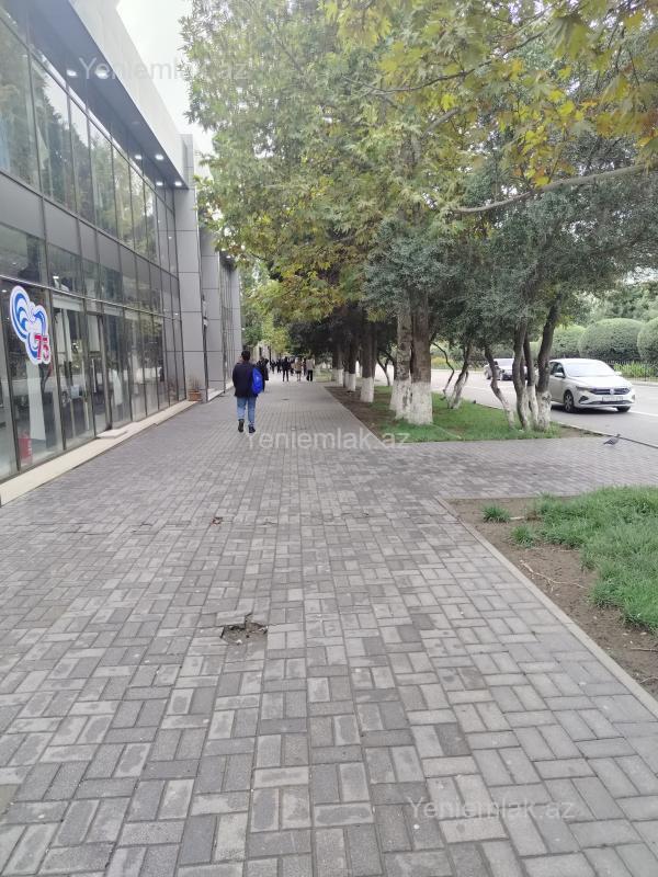 Kirayə 2 otaqlı Obyekt, 100 m², 1-ci mikrorayon — Əmlak, Sumqayıt (2)