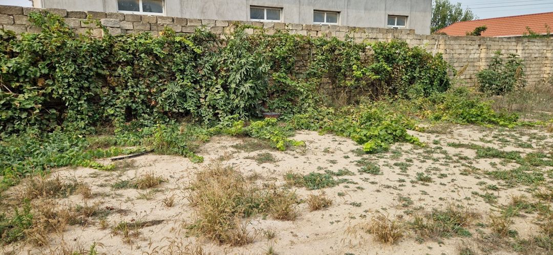 12 sot torpaq sahəsi, Savalan qəs — Torpaq, Bakı (5)