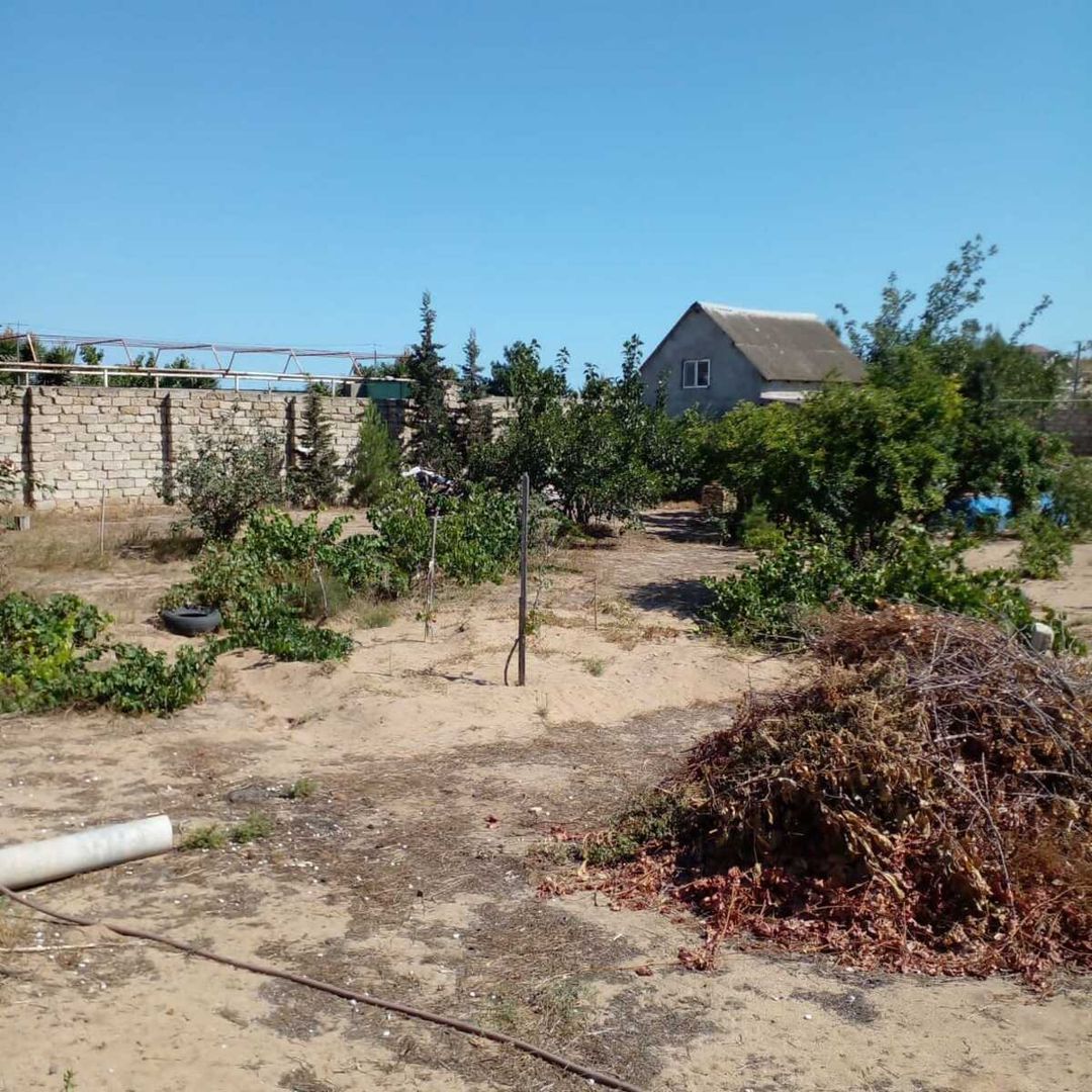 Satılır torpaq 14 sot — Torpaq, Bakı (3)