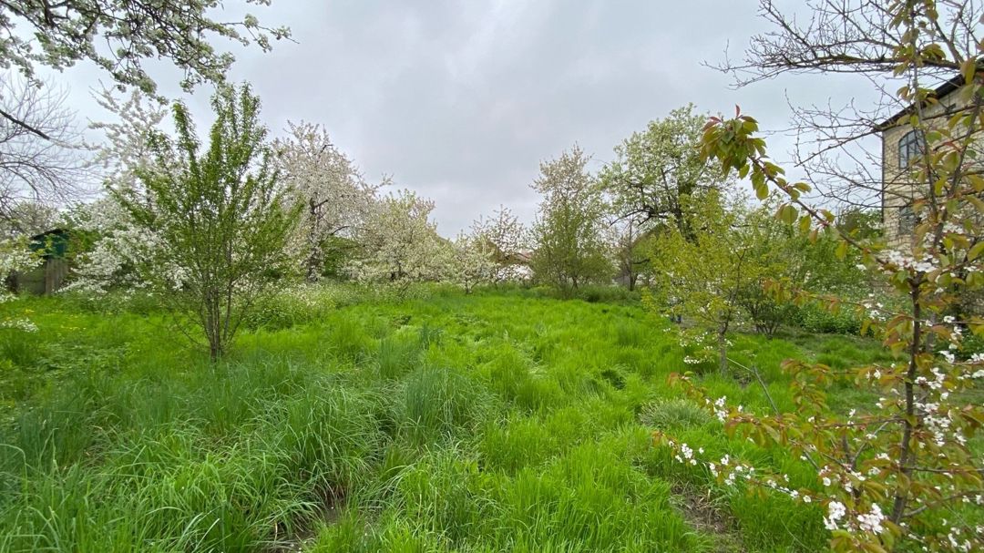 24 sot torpaq sahəsi, Alekseyevka kəndi — Torpaq, Quba (2)
