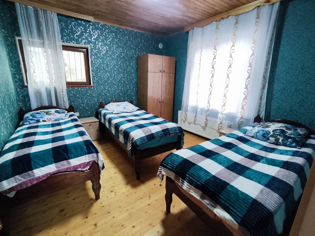 Bağ evi kirayə verilir, İsmayıllı r — Ev, villa, İsmayıllı (11)