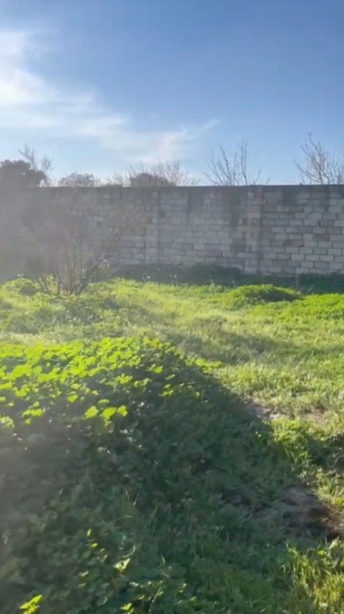Satılır torpaq 30 sot — Torpaq, Bakı (5)