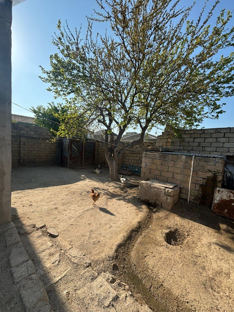 Həyət evi, Fatmayı qəs — Ev, villa, Bakı (6)