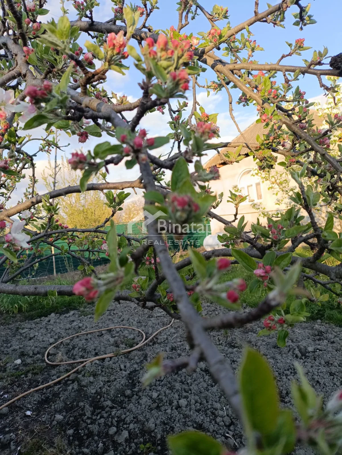 Satılır 2 otaqlı həyət evi / bağ evi 70 m², Qəbələ rayonu — Ev, villa, Bakı (3)