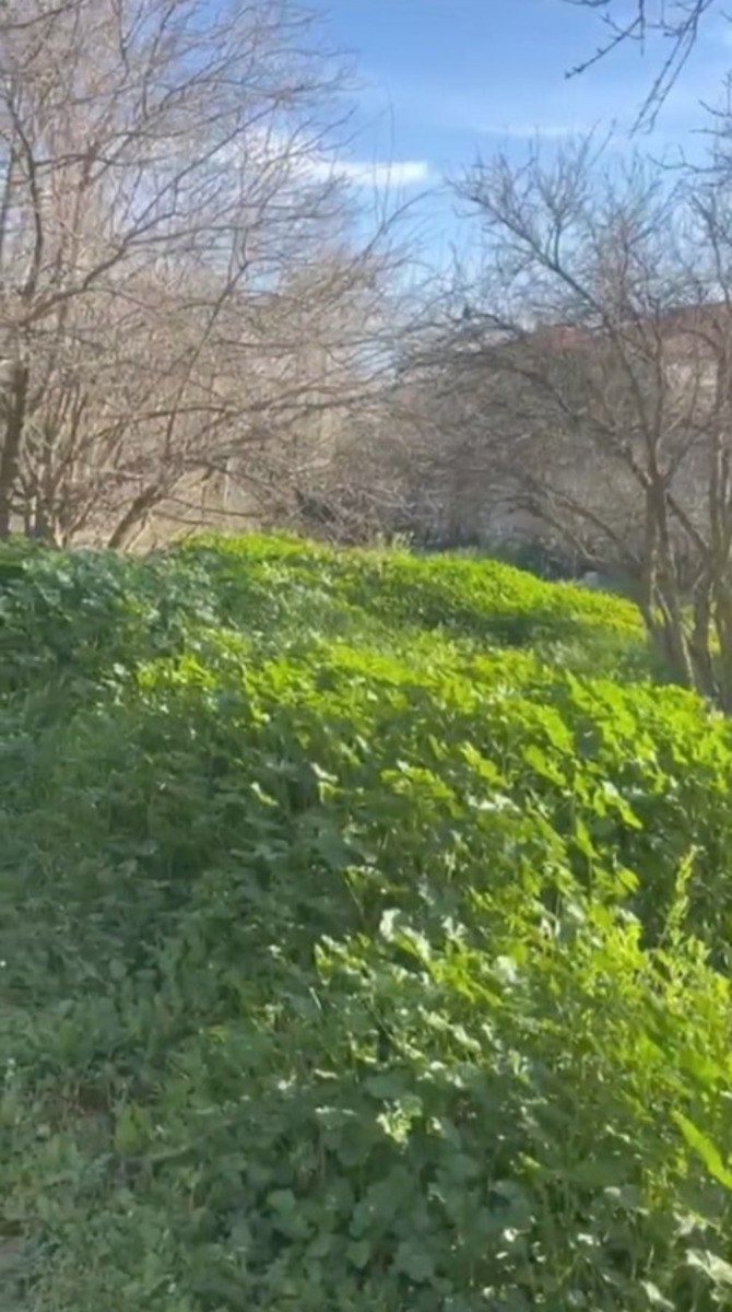 Satılır torpaq 30 sot — Torpaq, Bakı (3)