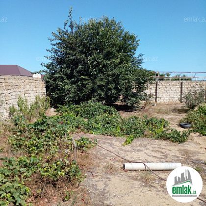 Satılır 14 sot torpaq Qala — Torpaq (4)