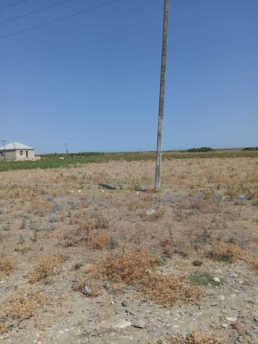 41 sot torpaq sahəsi, Şabran r — Torpaq, Şabran (10)