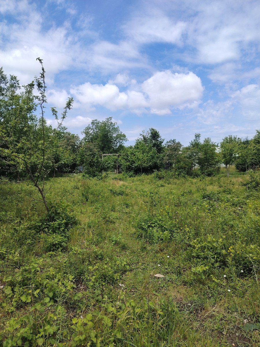 Satılır torpaq 20 sot — Torpaq, Qəbələ (9)