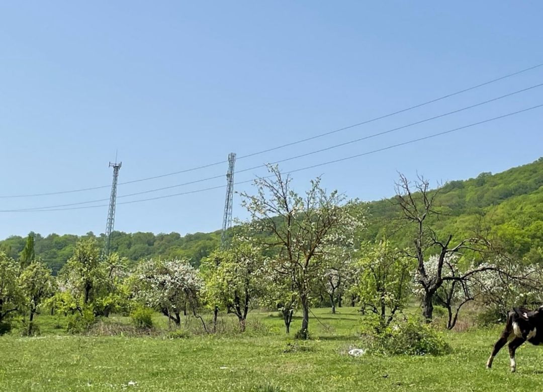 140 sot torpaq sahəsi, Quba r — Torpaq, Quba (5)