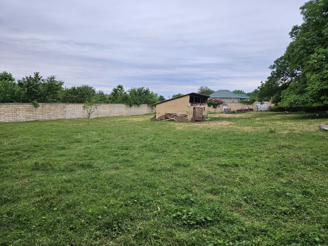 10 sot torpaq sahəsi, Quba r — Torpaq, Quba (3)