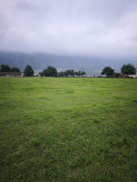 17 sot, Kənd təsərrüfatı, Mülkiyyətçi, Kupça (Çıxarış) — 2 500 $ · Qusar · Torpaq 17 sot, Kənd təsərrüfatı, Mülkiyyətçi, Kupça (Çıxarış) — Qusar