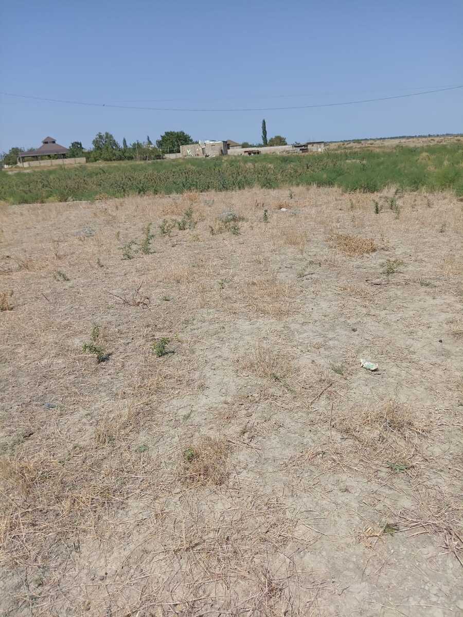 41 sot torpaq sahəsi, Şabran r — Torpaq, Şabran (2)