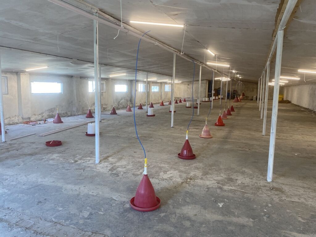 Toyuq ferması icarəyə verilir 8000-dən çox tutuma malikdir 550 kvm-dir — Kənd təsərrüfatı avadanlığı, Sanqaçal