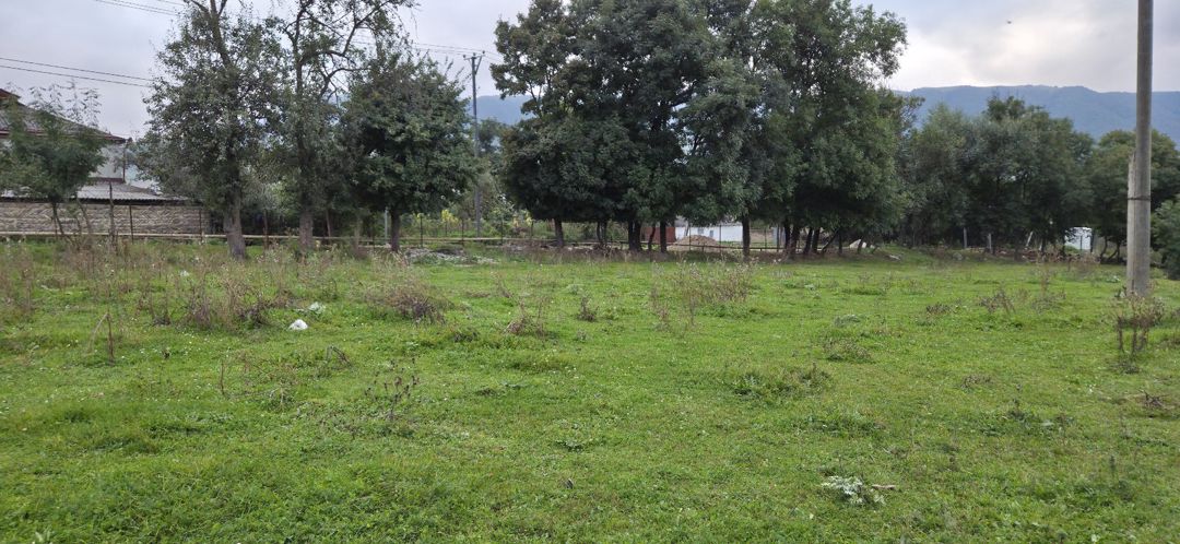 10 sot torpaq sahəsi, Qusar r — Torpaq, Qusar (2)