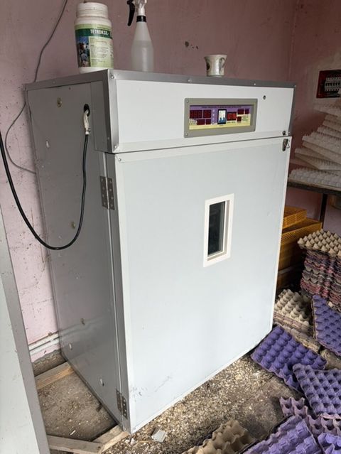 Tam avtomat — 850 ₼ · Bakı · Kənd təsərrüfatı avadanlığı Tam avtomat — Bakı