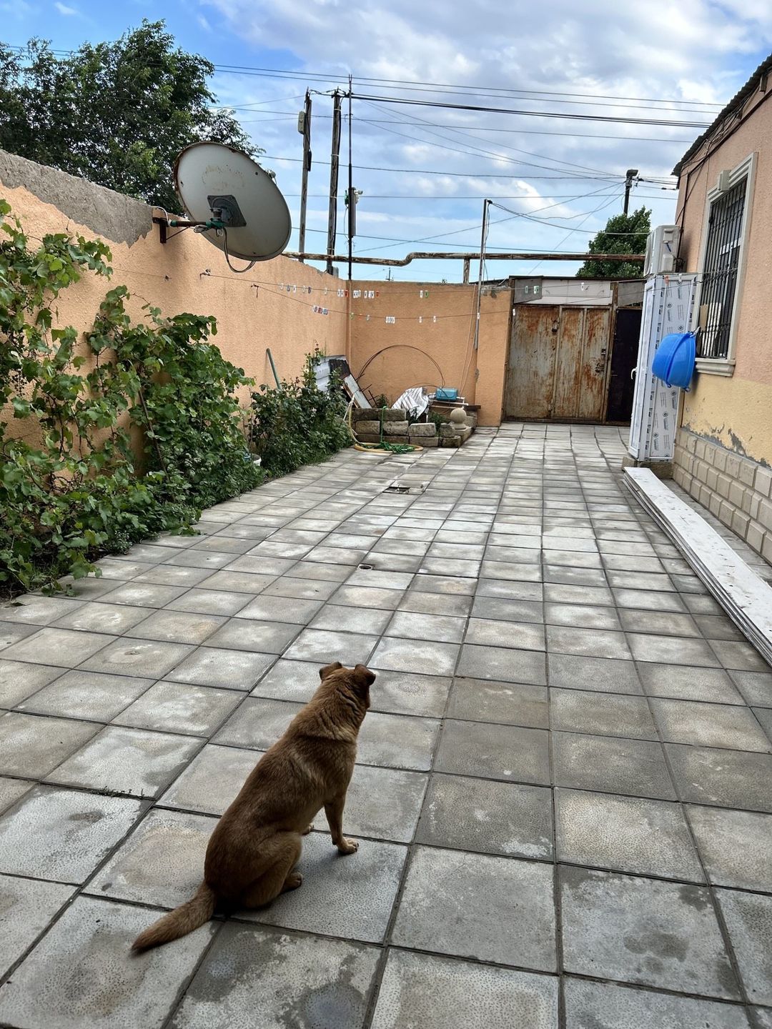 Satılır 3 otaqlı həyət evi/bağ evi 200 m² — Ev, villa, Bakı (11)