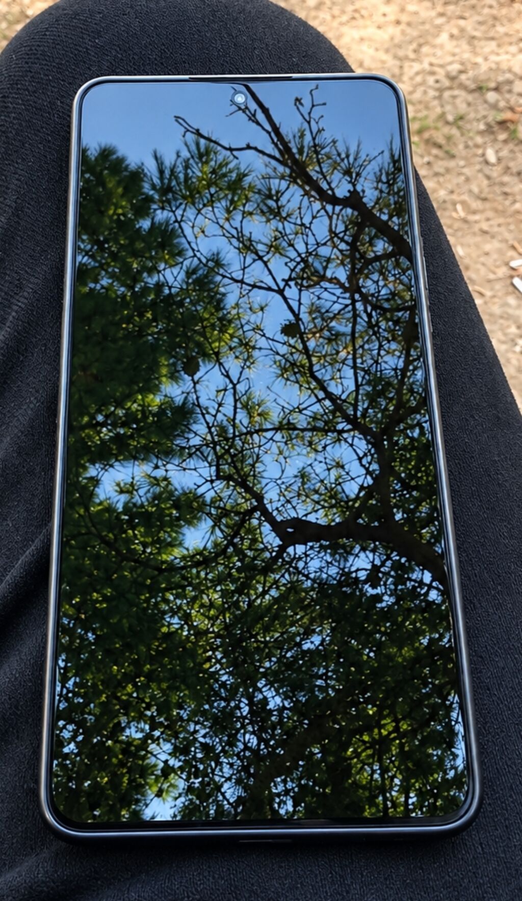 Xiaomi 12 Lite, 256 GB, rəng - Boz, Sensor — Xiaomi, Digah (2)
