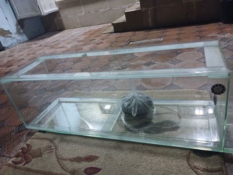 140x40x40 10luq şüşədi çox samp sistemli sapın iç ləvazimatları — 100 ₼ · Novxanı · Akvariumlar və balıqlar 140x40x40 10luq şüşədi çox samp sistemli sapın iç ləvazimatları — Novxanı